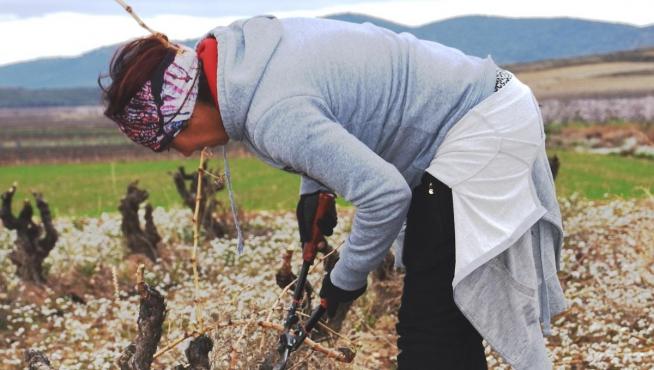 El sector agrario aragonés incorpora a 262 nuevos jóvenes, 72 mujeres