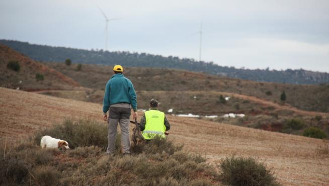 El TSJA anula un listado de especies del plan de caza entre los años 2015 y 2016