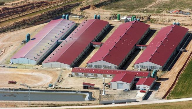 Exafan cumple tres décadas de experiencias en el equipamiento integral de granjas