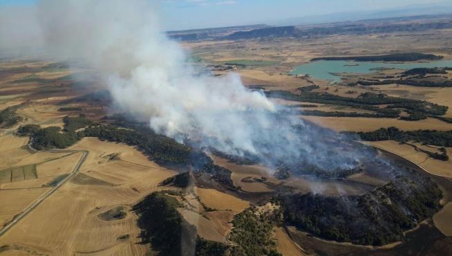 Zaragoza registra tres incendios forestales