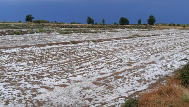 Un campo cubierto con granizo ayer en Tardienta.