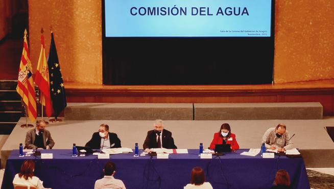 El Pleno de la Comisión del Agua de Aragón tuvo lugar en la Sala de la Corona del Edificio Pignatelli.