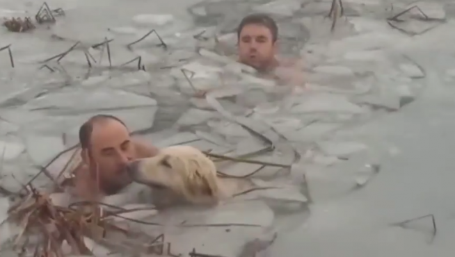 Imagen de los Guardias civiles durante el rescate de un perro en un lago helado en Badaguás.
