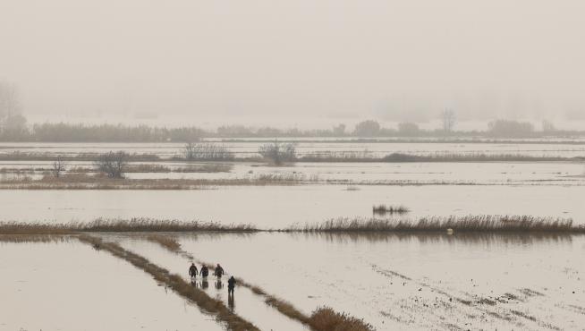 Campos llenos de agua ante la crecida del Ebro en Pradilla, este lunes.