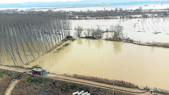Miembros de la UME trasvasan agua al río en la localidad de Pina de Ebro por la crecida del río.