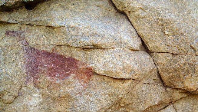 Pintura prehistórica sin tratar que representa a una cierva, del arte levantino, descubierta anteriormente