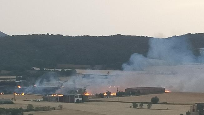 Se ha producido un aparatoso incendio en una finca de cultivo próxima al casco urbano.