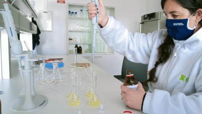 Laboratorio de análisis de miel en el Cita (Centro de Investigación Tecnológica Agroalimentaria).