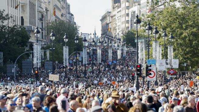 Imagen de la multitudinaria manifestación celebrada en Madrid este domingo.