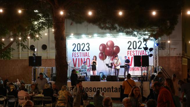 Festival del Vino Somontano.
