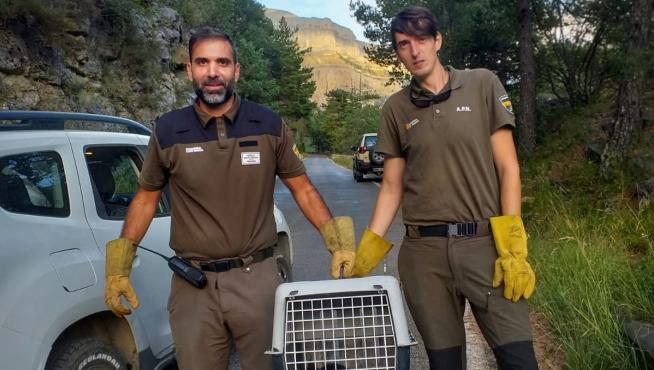 Los agentes de Protección de la Naturaleza con el transportín en el que se encuentra el animal.