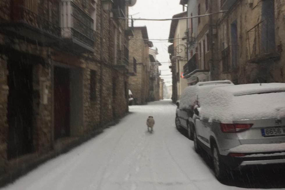 Temporal de nieve en la provincia de Huesca
