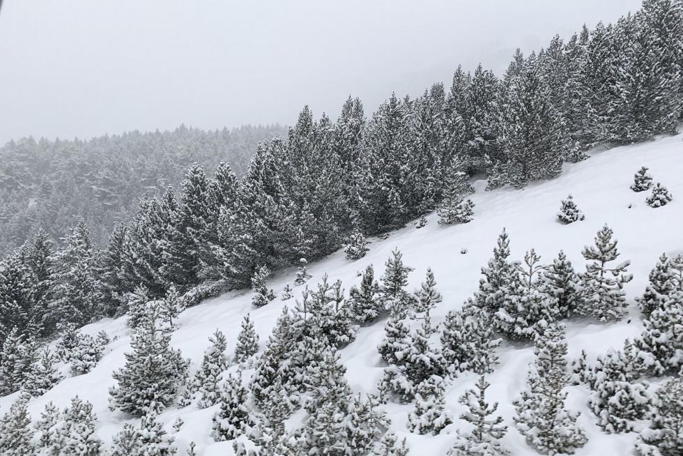 Temporal de nieve en la provincia de Huesca