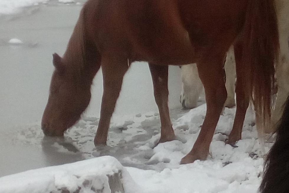 Temporal de nieve en la provincia de Huesca