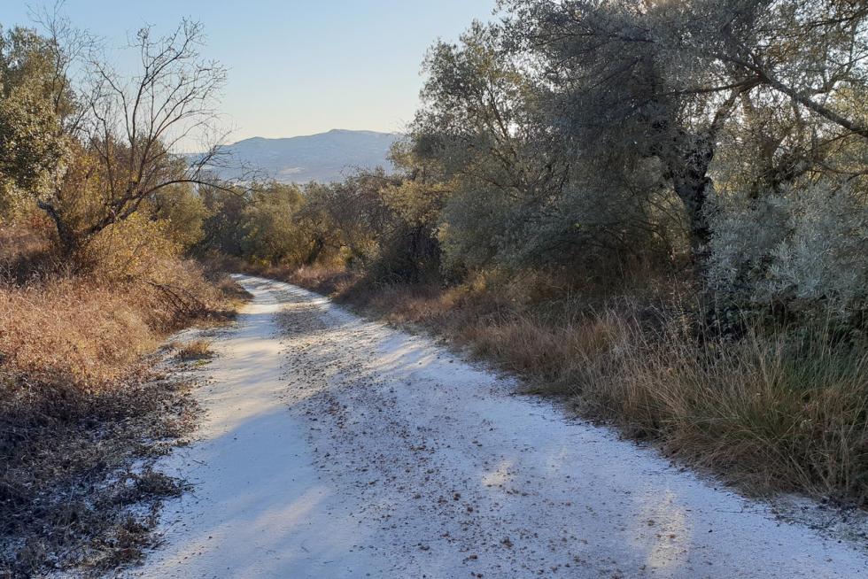 Nieve en el Alto Aragón este jueves 24 de enero
