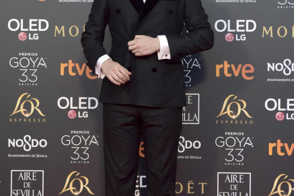 Alfombra roja y gala de los Premios Goya 2019