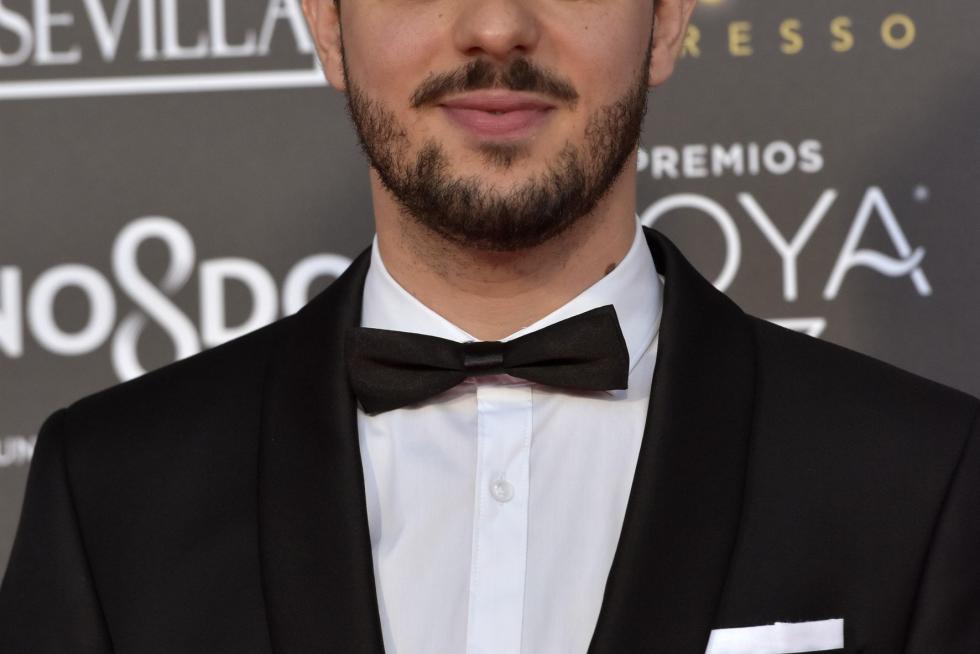 Alfombra roja y gala de los Premios Goya 2019