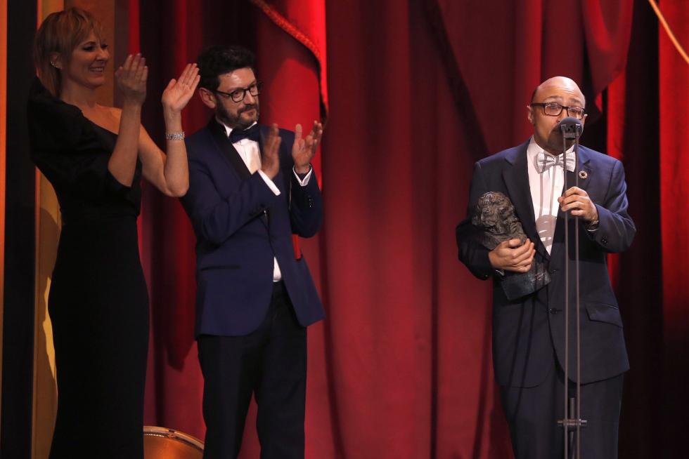 Alfombra roja y gala de los Premios Goya 2019