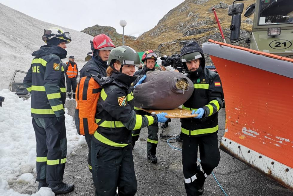 Simulacro de la UME en el Pirineo