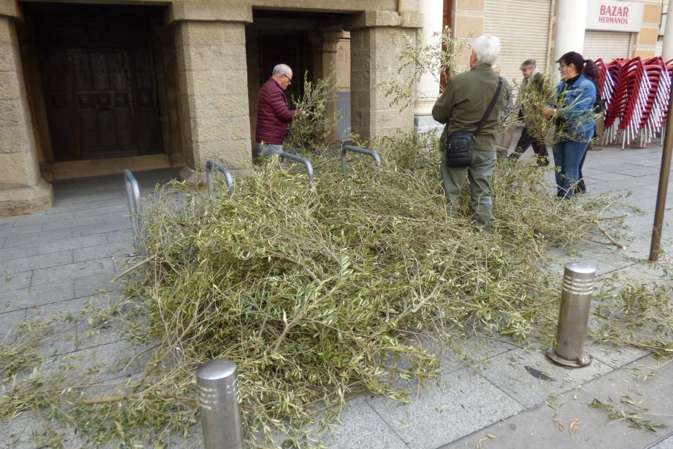 Domingo de ramos en el Alto Aragón