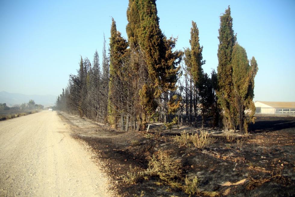 Incendio en las cercanías de Plhus en Huesca