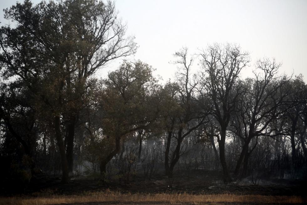 Incendio en las cercanías de Plhus en Huesca