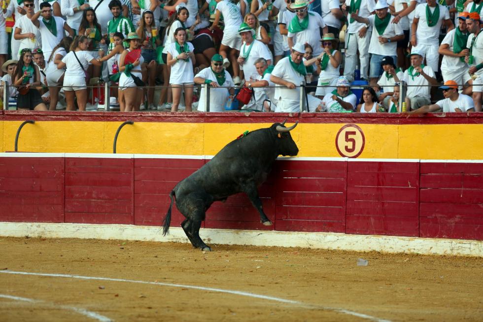 San Lorenzo 2019, 11 de agosto