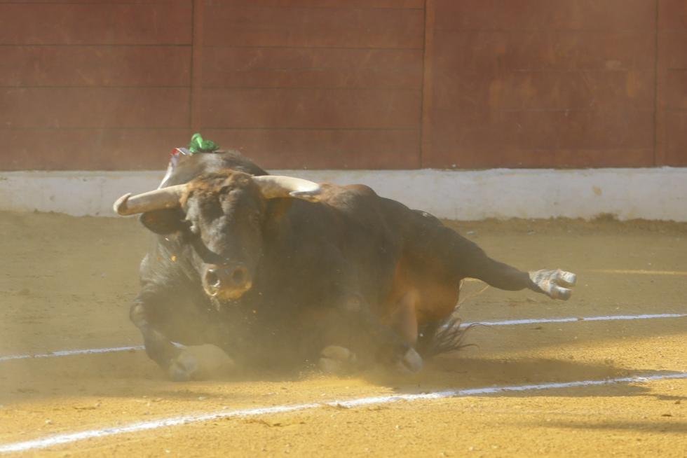San Lorenzo 2019, 12 de agosto