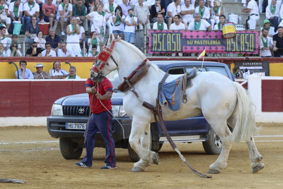 San Lorenzo 2019, 12 de agosto