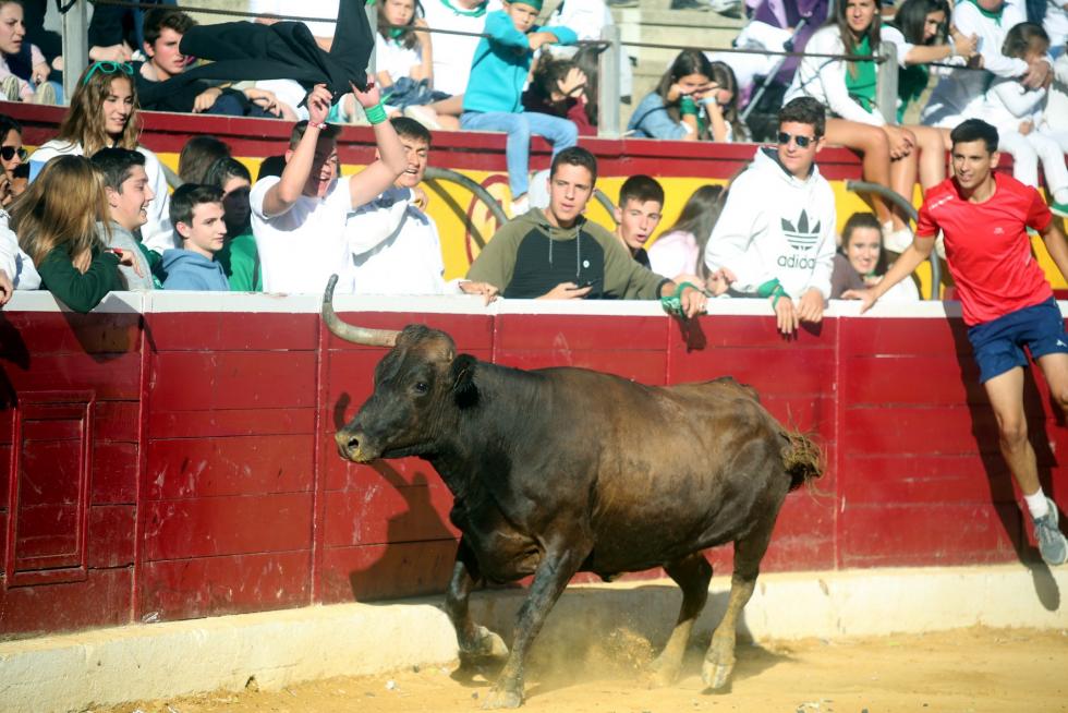 San Lorenzo 2019, 14 de agosto