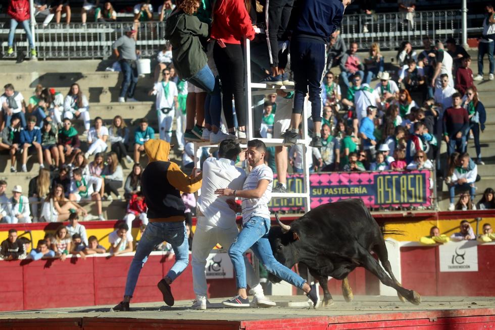 San Lorenzo 2019, 14 de agosto