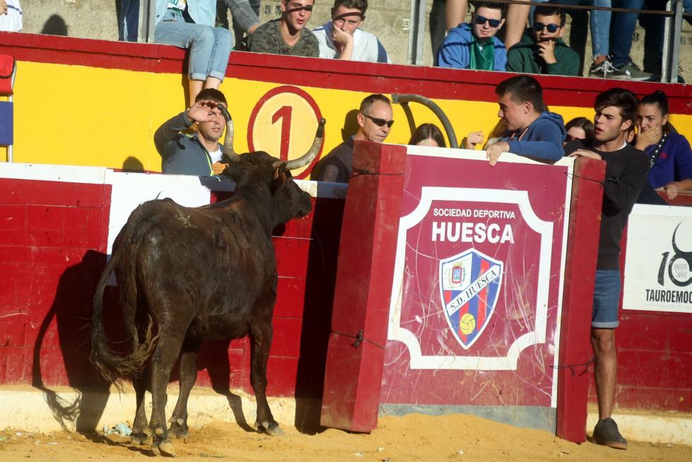 San Lorenzo 2019, 14 de agosto