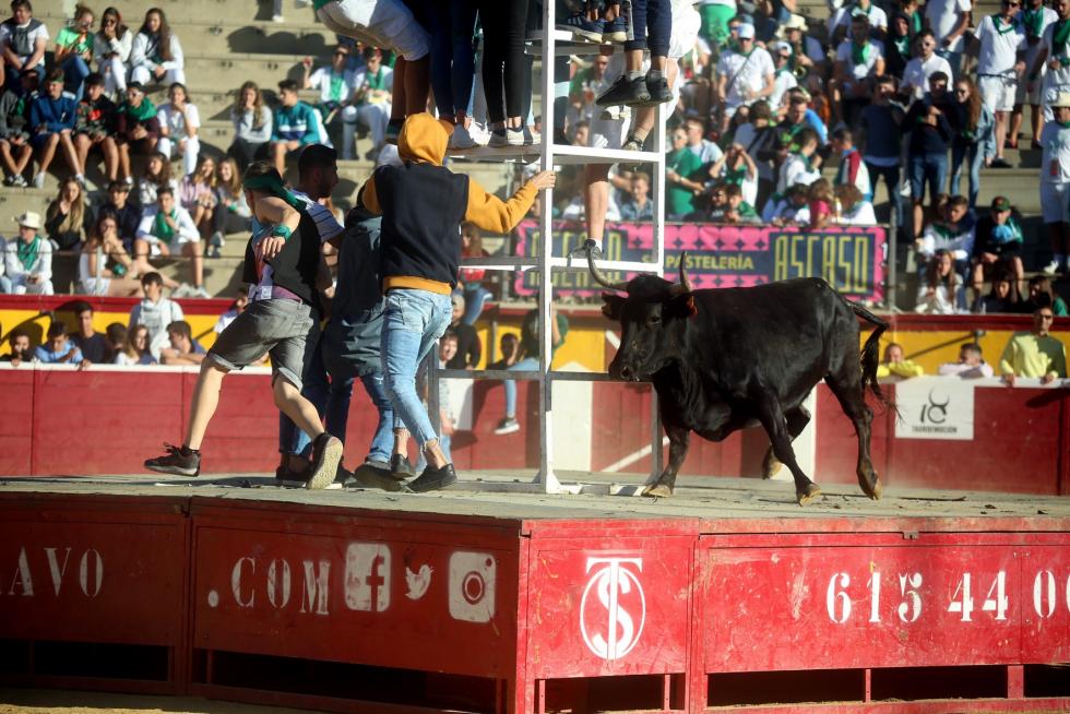 San Lorenzo 2019, 14 de agosto