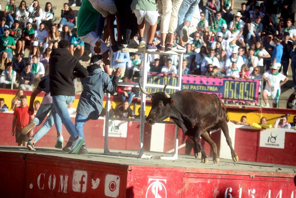 San Lorenzo 2019, 14 de agosto