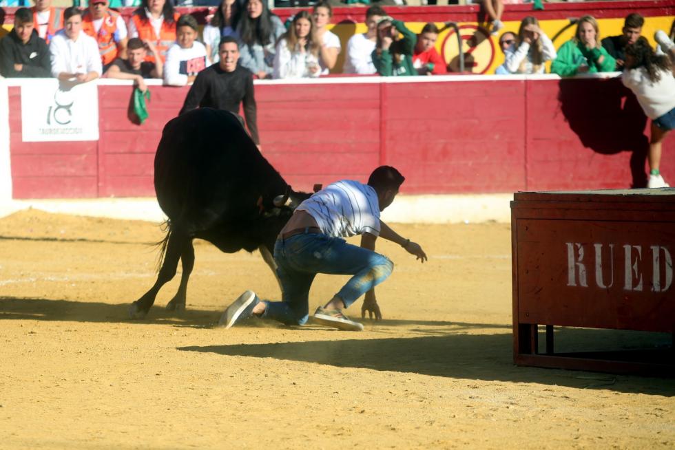 San Lorenzo 2019, 14 de agosto