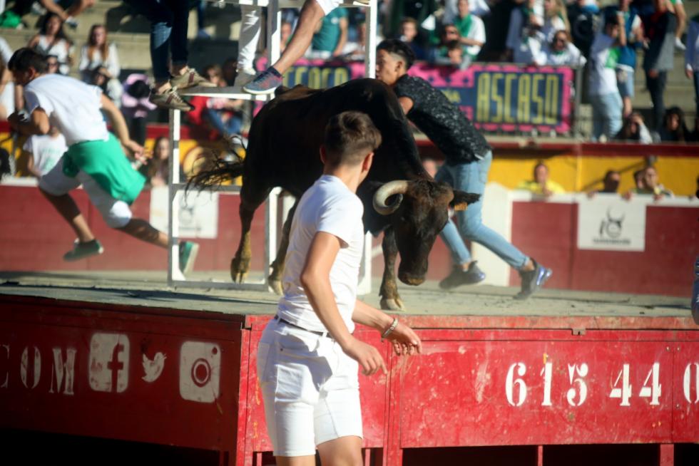 San Lorenzo 2019, 14 de agosto