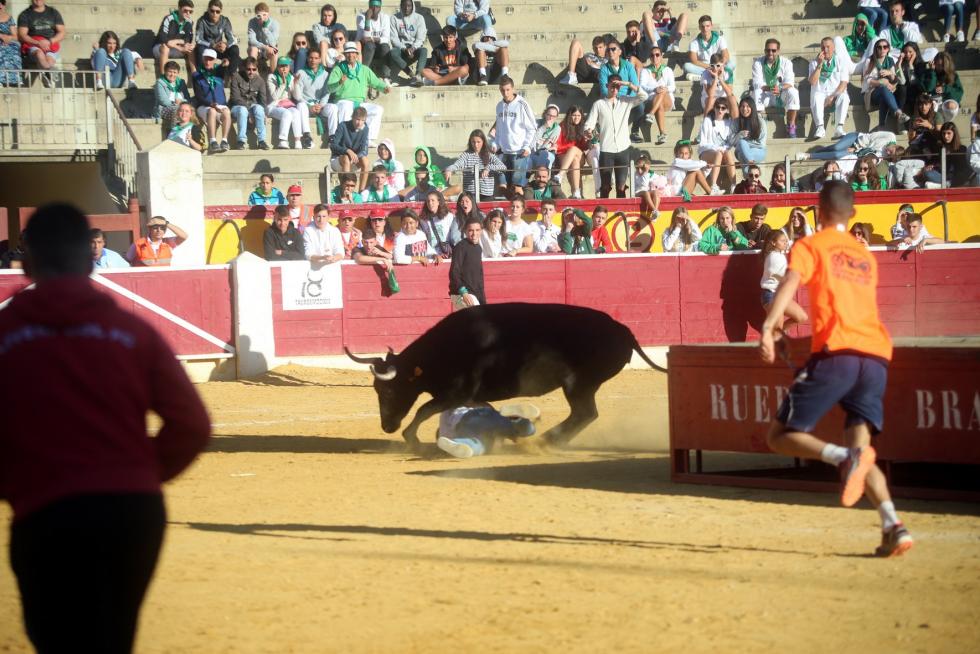 San Lorenzo 2019, 14 de agosto