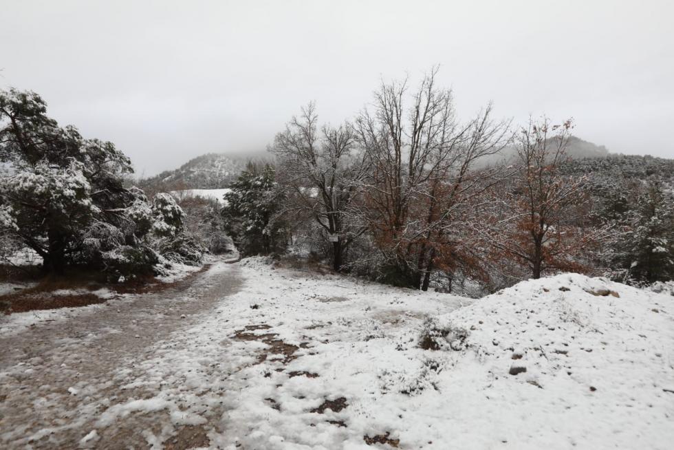Temporal Gloria en el Alto Aragón