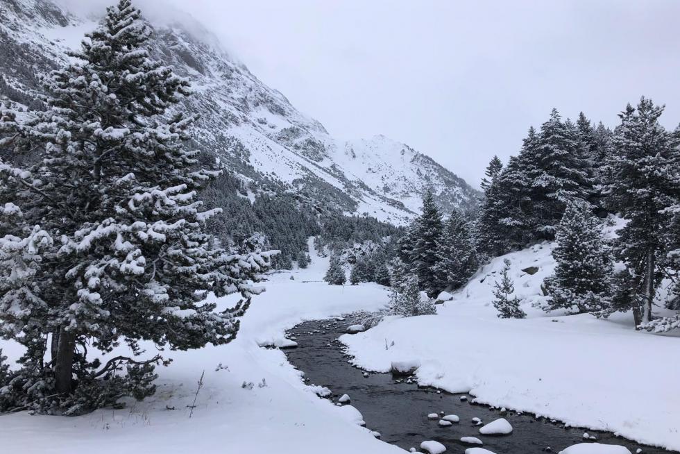 Temporal Gloria en el Alto Aragón