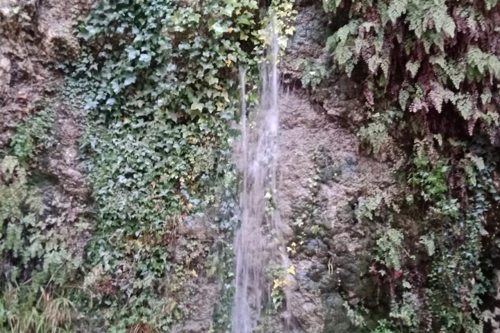 Temporal Gloria en el Alto Aragón