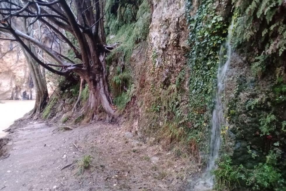 Temporal Gloria en el Alto Aragón