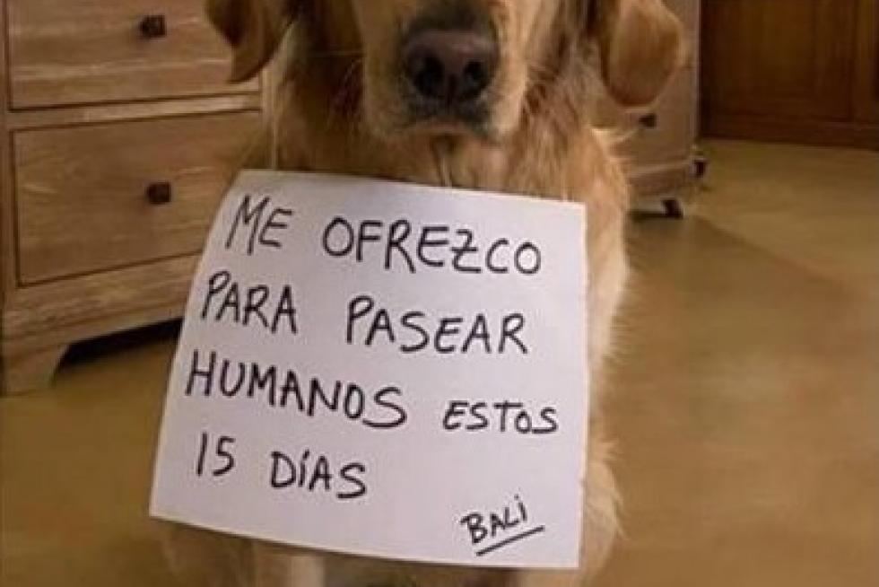 Miércoles 25 de marzo, foto a foto
