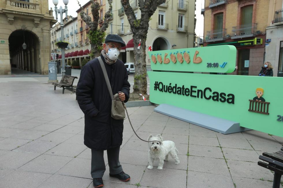 Wasaps gigantes de Julio Luzán