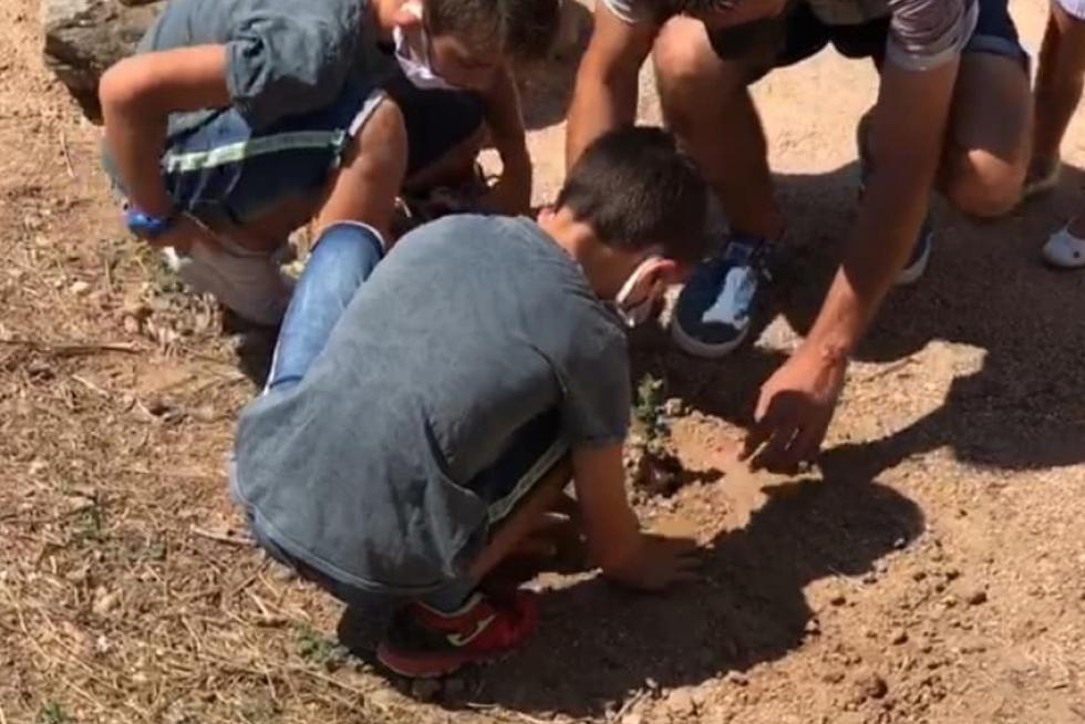 Homenajes en la provincia de Huesca a las víctimas del coronavirus