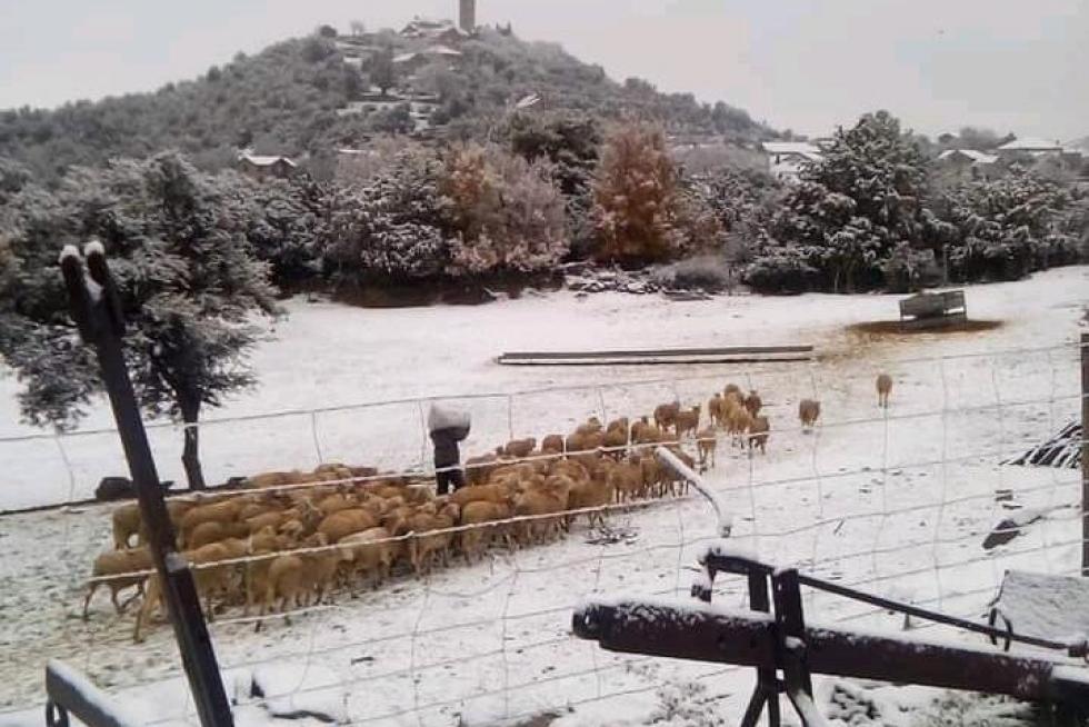 Nieve 7 de diciembre