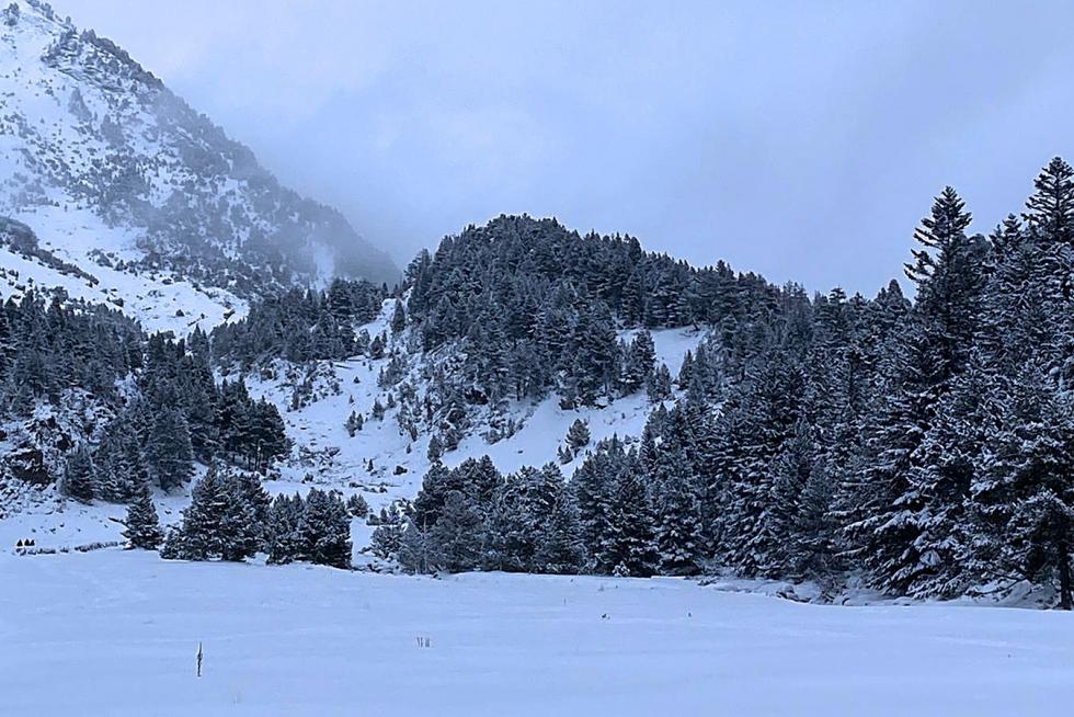 Nieve 7 de diciembre