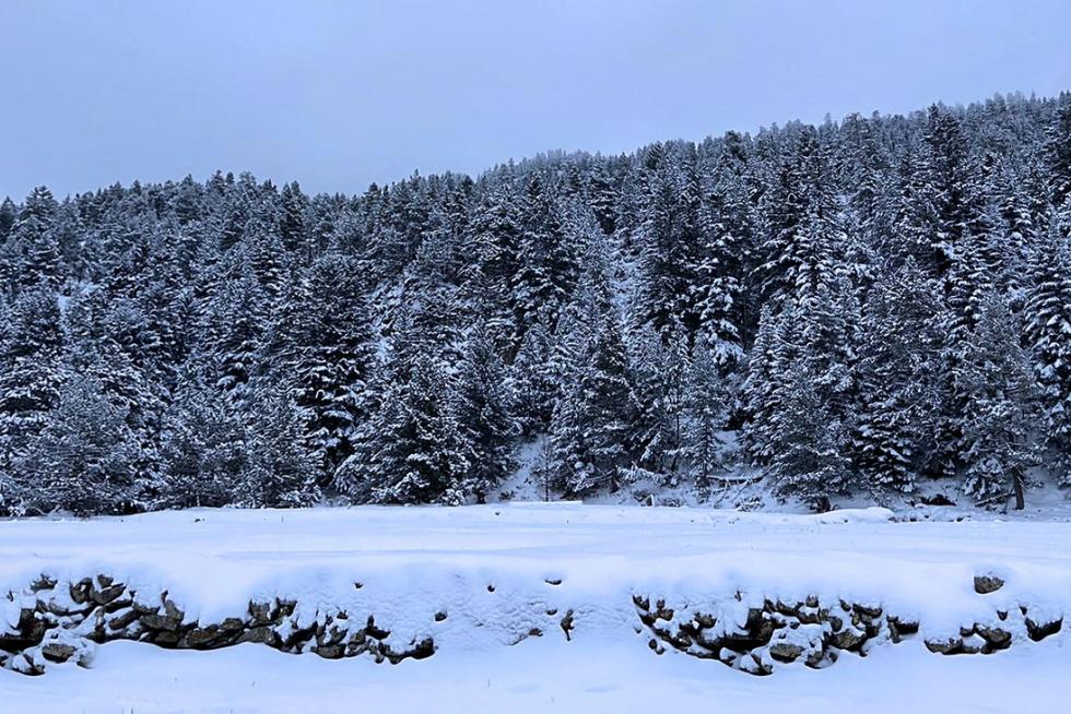 Nieve 7 de diciembre