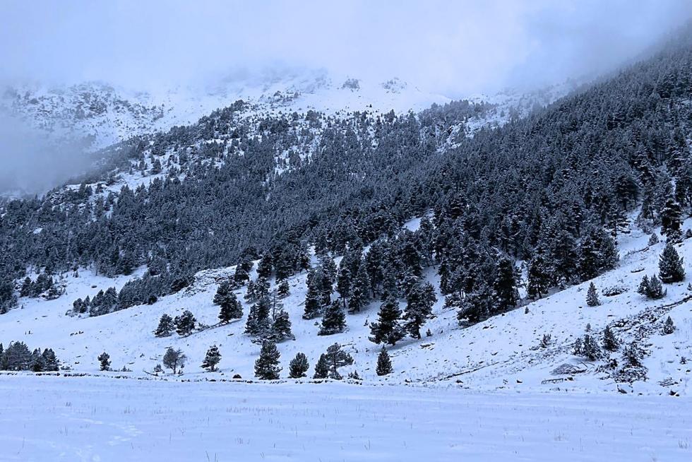 Nieve 7 de diciembre