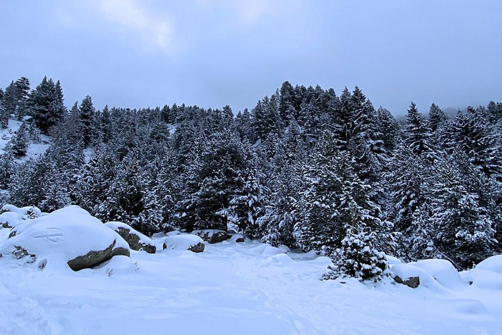Nieve 7 de diciembre
