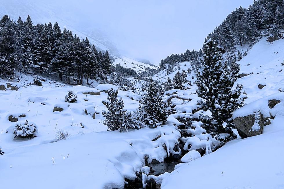 Nieve 7 de diciembre